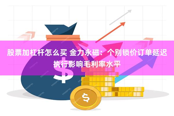 股票加杠杆怎么买 金力永磁：个别锁价订单延迟执行影响毛利率水