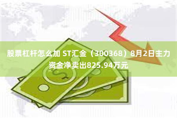 股票杠杆怎么加 ST汇金（300368）8月2日主力资金净卖