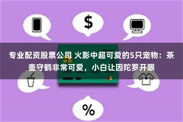 专业配资股票公司 火影中超可爱的5只宠物：茶壶守鹤非常可爱，