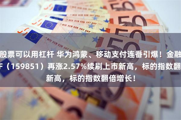 股票可以用杠杆 华为鸿蒙、移动支付连番引爆！金融科技ETF（