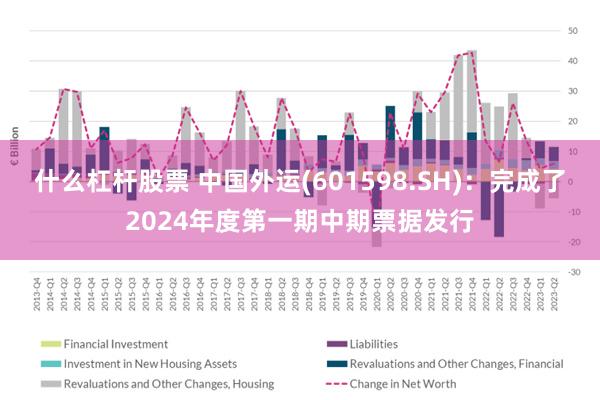 什么杠杆股票 中国外运(601598.SH)：完成了2024