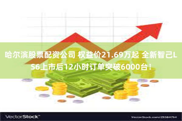 哈尔滨股票配资公司 权益价21.69万起 全新智己LS6上市