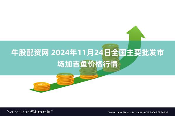 牛股配资网 2024年11月24日全国主要批发市场加吉鱼价格