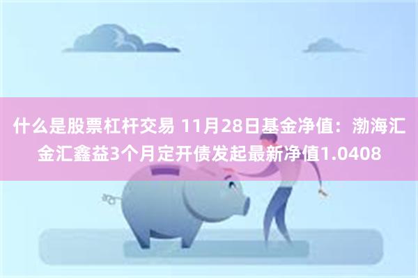 什么是股票杠杆交易 11月28日基金净值：渤海汇金汇鑫益3个