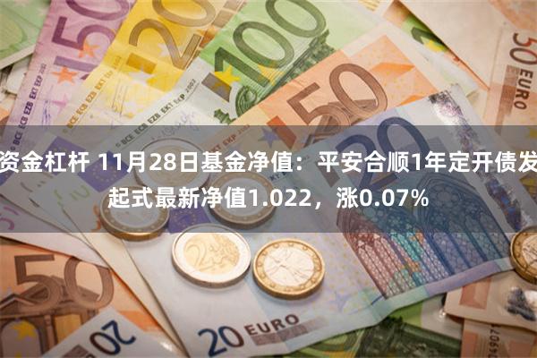 资金杠杆 11月28日基金净值：平安合顺1年定开债发起式最新