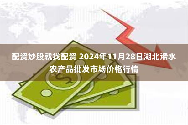 配资炒股就找配资 2024年11月28日湖北浠水农产品批发市