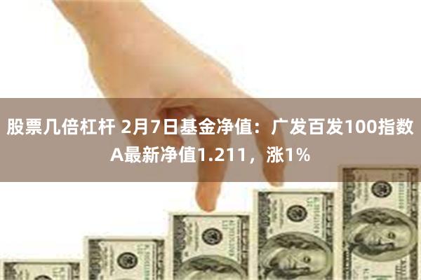 股票几倍杠杆 2月7日基金净值：广发百发100指数A最新净值