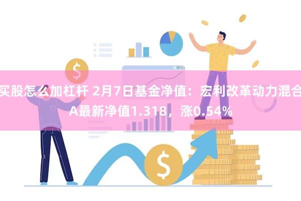 买股怎么加杠杆 2月7日基金净值：宏利改革动力混合A最新净值