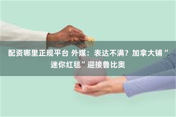 配资哪里正规平台 外媒：表达不满？加拿大铺“迷你红毯”迎接鲁