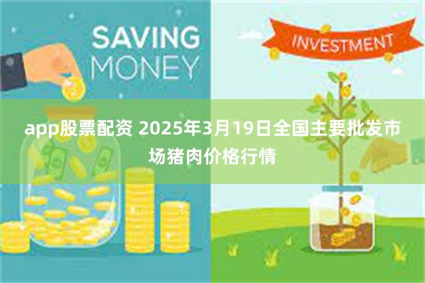 app股票配资 2025年3月19日全国主要批发市场猪肉价格